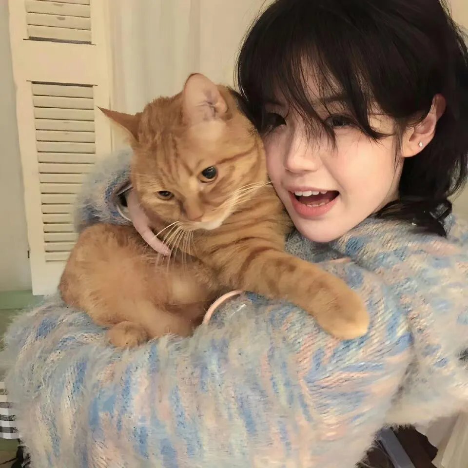 开脑儆探(粤语)